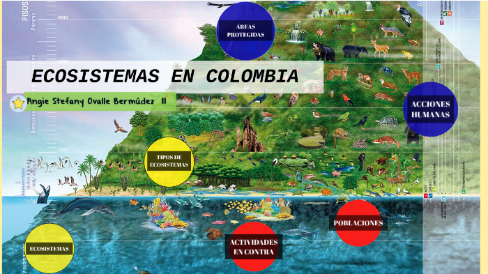 ecosistemas by Angie Stefany Ovalle Bermudez on Prezi