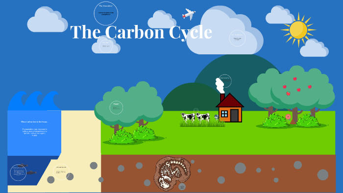 The Carbon Cycle by Courtney Wishart on Prezi