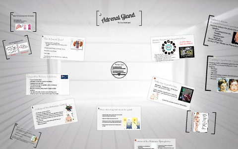 Adrenal Gland Project by Alex Wright on Prezi