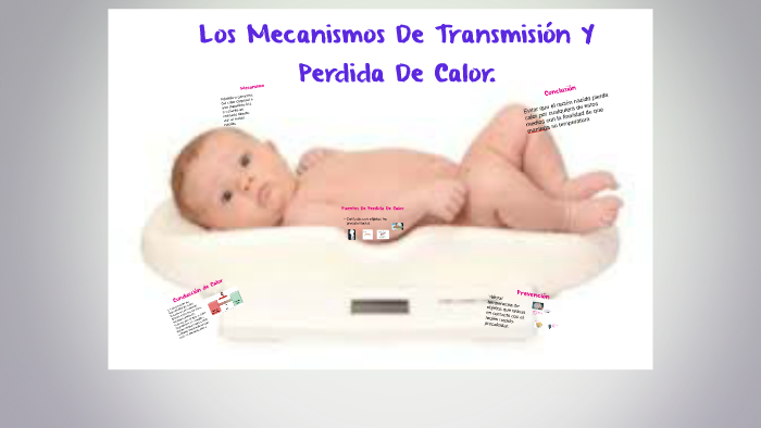 Los Mecanismos De Transmisión Y Perdida De Calor by julita gamarra on Prezi