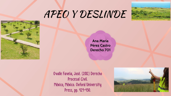 APEO Y DESLINDE by Ana Castro on Prezi