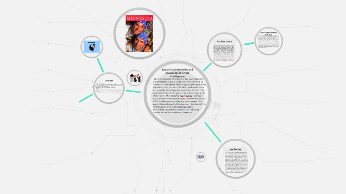 explain how heredity and environment affect intelligence by Aaron Lum ...