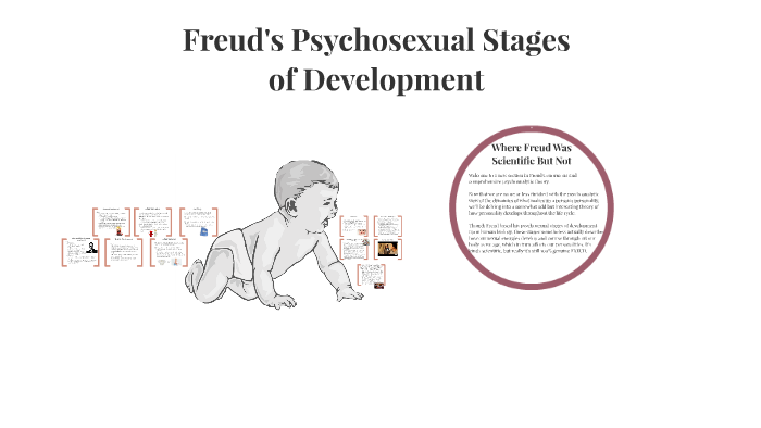 Freuds Psychosexual Stages Of Development By Chadsen Kat