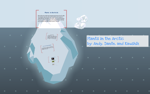 Plants in the Arctic by Andy Chen on Prezi