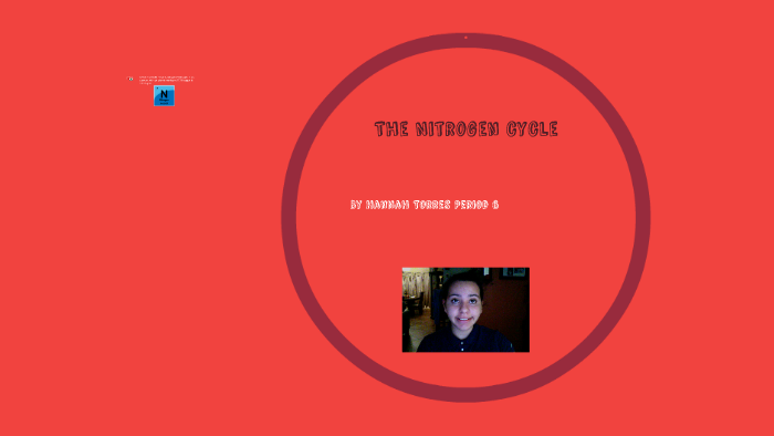 The Nitrogen Cycle by Hannah Torres on Prezi
