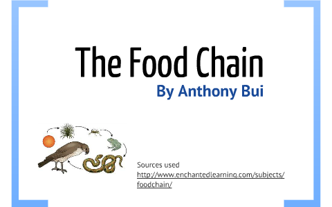 The food chain by Anthony Hakit on Prezi