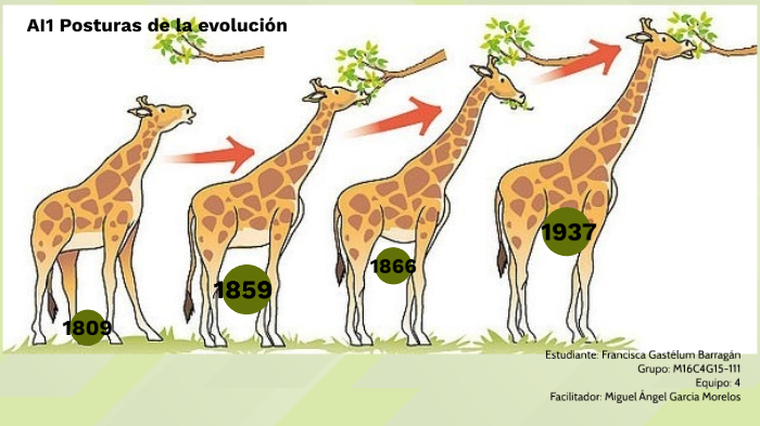 AI1 Posturas de la evolución by francis gastelum on Prezi