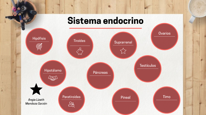 Sistema endocrino by Angie Lizeth Mendoza Garzón on Prezi