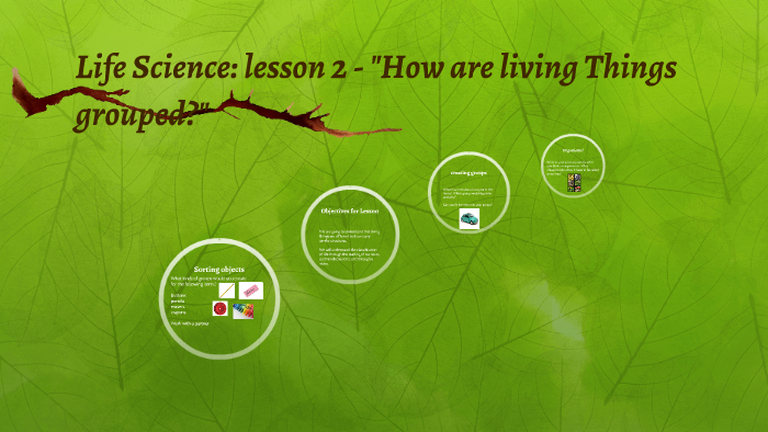 life-science-lesson-2-how-are-living-things-grouped-by-krystle