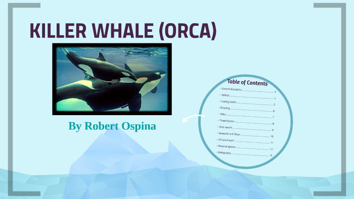 KILLER WHALE by Robert ospina on Prezi