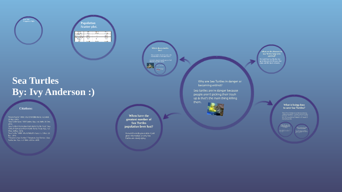 Sea Turtles by Ivy Anderson on Prezi