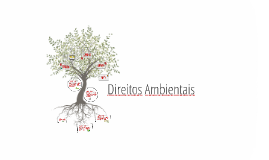 Direitos Ambientais
