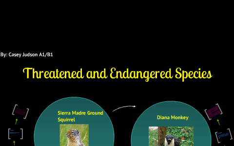 Threatened and Endangered Species by casey judson on Prezi