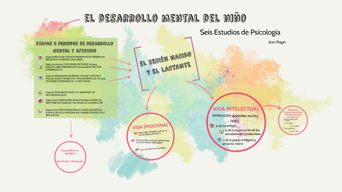 el desarrollo mental del ni o by evangelina evan on Prezi