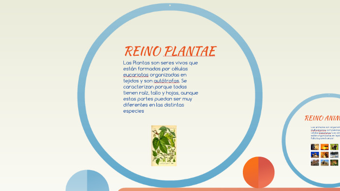 Los 5 Reinos de la Naturaleza by Wendy Cano on Prezi
