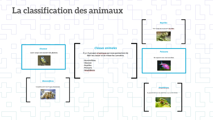 La classification des animaux by Janie-Kim Ladouceur on Prezi