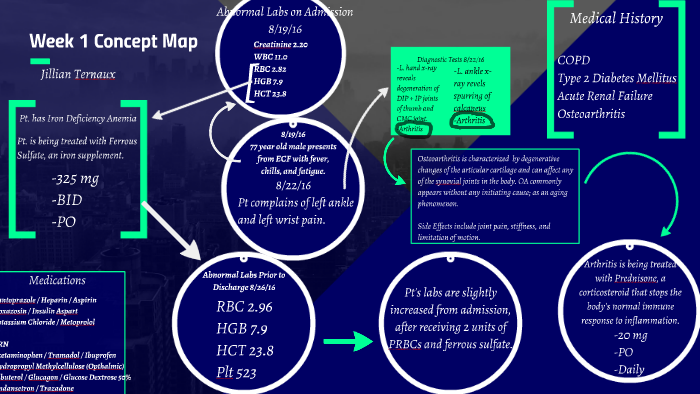 Week 1 Concept Map by Jillian Ternaux on Prezi
