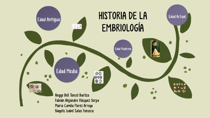 LINEA DE TIEMPO by María Camila Florez Arroyo on Prezi