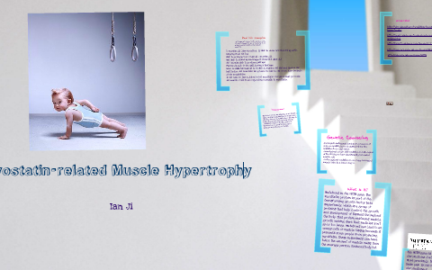 Myostatin related muscle hypertrophy by Ian Ji on Prezi