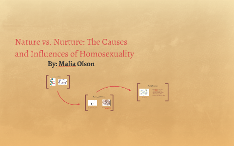 nature vs nurture homosexuality essay