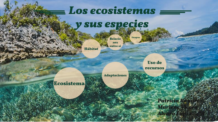 Los ecosistemas y sus especies by Patricia Ramírez Suárez on Prezi