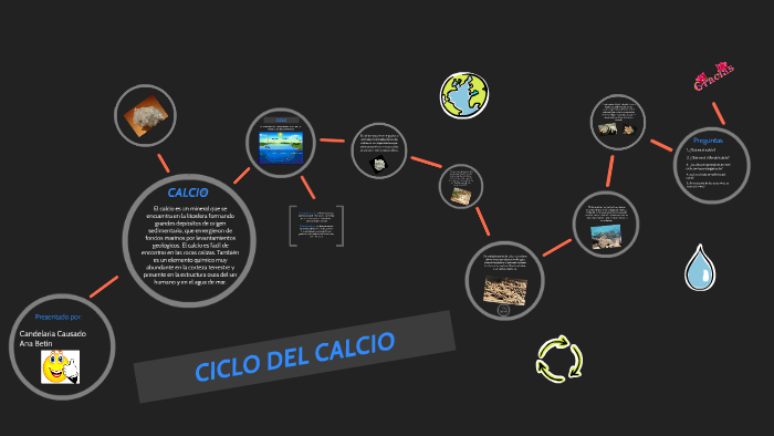 Ciclo Del Calcio By Ana Betin Betin 4388