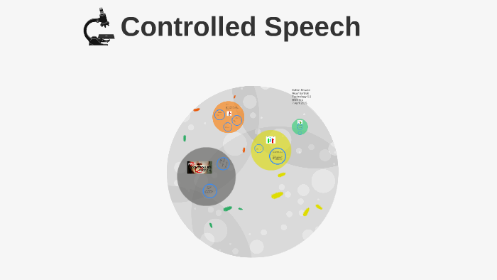 speech controlled presentation