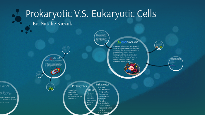 Prokaryotic Vs Eukaryotic Cells The Vacuole Mystery Solved - vsv9mj2
