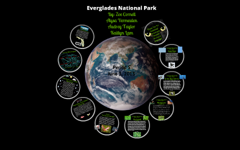 The Everglades National Park Ecosystem by zoe cornell on Prezi