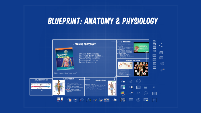 anatomy blueprint pro free