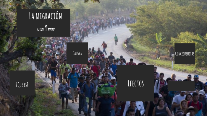 Causas De La Migracion