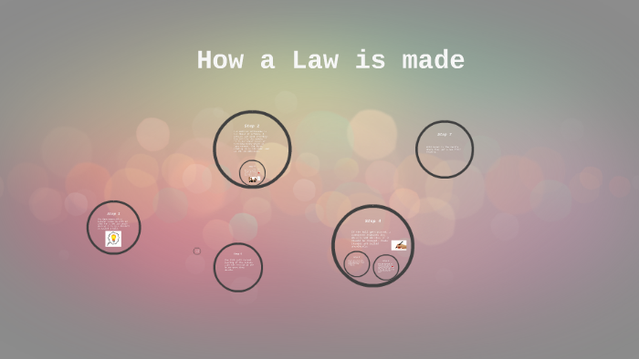 How a Law is made by daniella babic