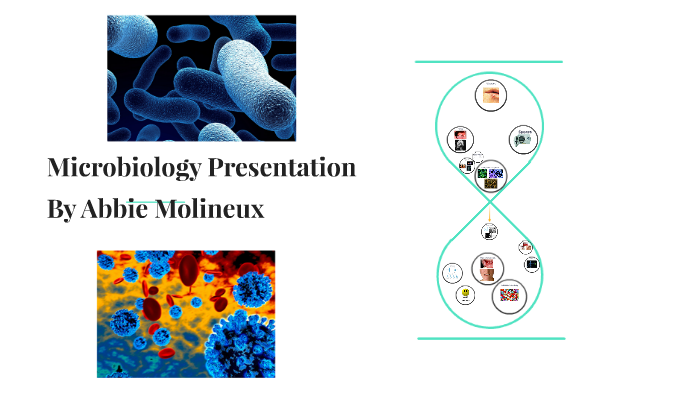 Microbiology Presentation by abbie molineux on Prezi