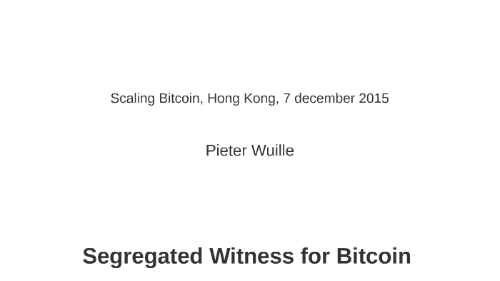 bitcoin expert witness