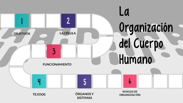 objetivos del cuerpo humano