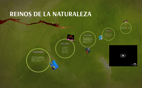 REINOS DE LA NATURALEZA by Johanna Moreno on Prezi