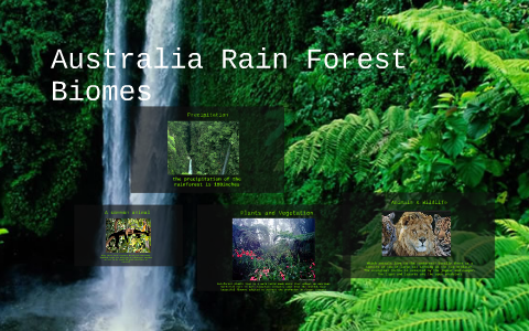 Australian Rain Forest Biomes by terri jimenez