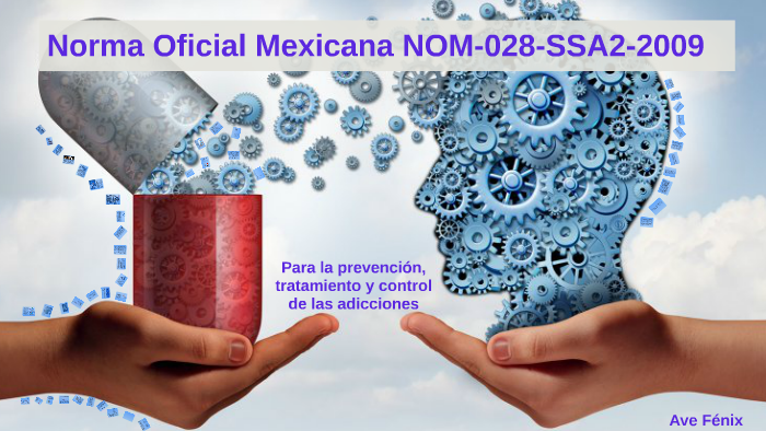 NOM 028 by Eduardo Leon Garcia on Prezi