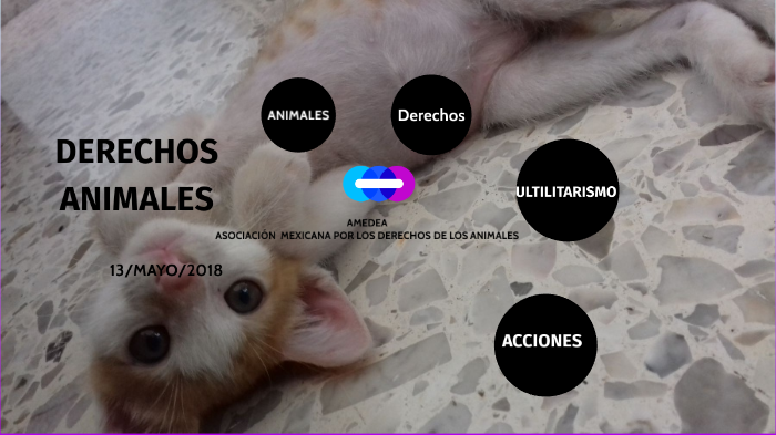 DERECHOS DE ANIMALES by fernanda hernandez on Prezi
