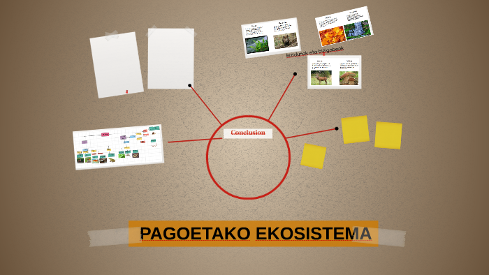 PAGOETAKO EKOSISTEMA By Unai Zabalegi On Prezi