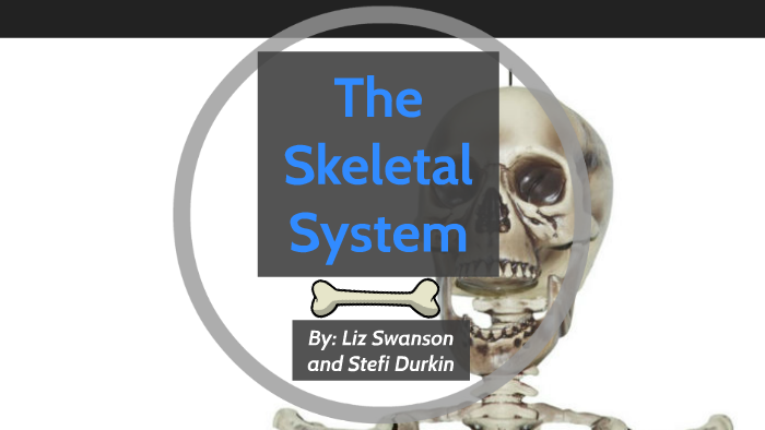 The Skeletal System by Liz s on Prezi