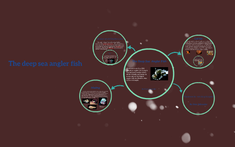 The Deep Sea Angler Fish by Starr Martin on Prezi