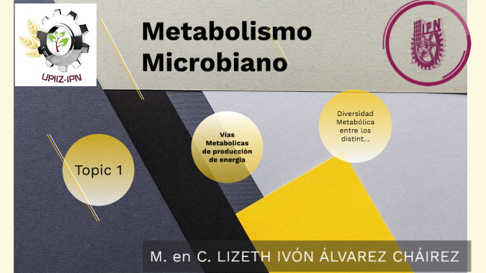 Metabolismo Microbiano By Lizeth Ivón Álvarez Cháirez On Prezi 9022