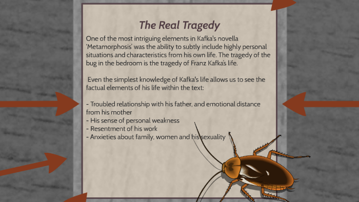 What Is The Real Tragedy Of The Bug In The Bedroom By Billi