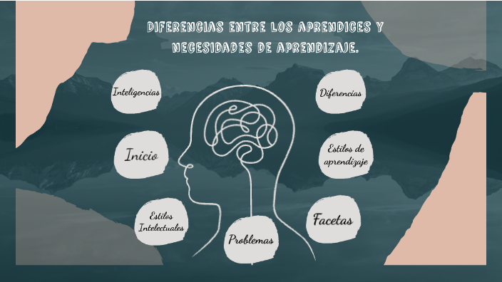 Diferencias Entre Los Aprendices Y Necesidades De Aprendizaje. By ...