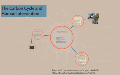 The Carbon Cycle and Human Intervention by Nicola Sweeney on Prezi