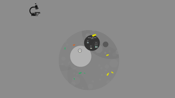 Animal and Plant cells by on Prezi