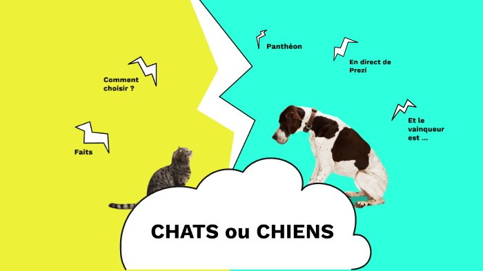 Chats Ou Chiens Prezi By Gabriella Bácsi On Prezi Next