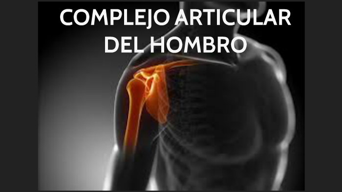 Complejo Articular Hombro Blog De Fisioterapia 7168