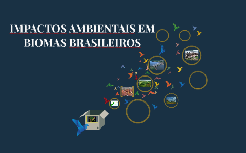 IMPACTOS AMBIENTAIS EM BIOMAS BRASILEIROS by Carla Magão on Prezi